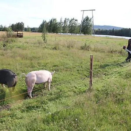 Holiday Kuukkeli Loma-asunnot